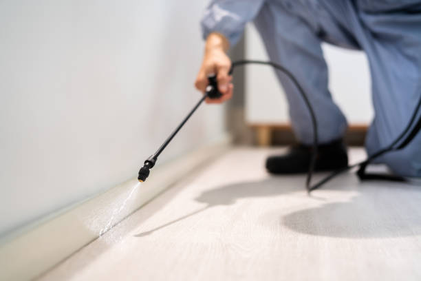 Licensed Termite Control service in Morrow, GA - Show Me Pest Control