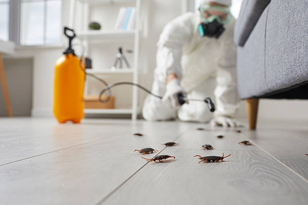 Post-Treatment Bed Bug Interceptor Monitoring in Morrow
