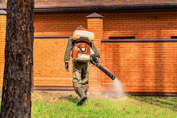 Bed Bug Clearance Verification and Documentation in Morrow